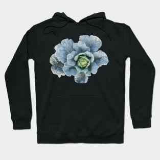 Cabbage Green Leaves Hoodie